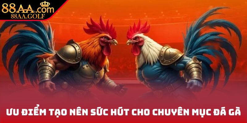 Ưu điểm tạo nên sức hút cho chuyên mục đá gà