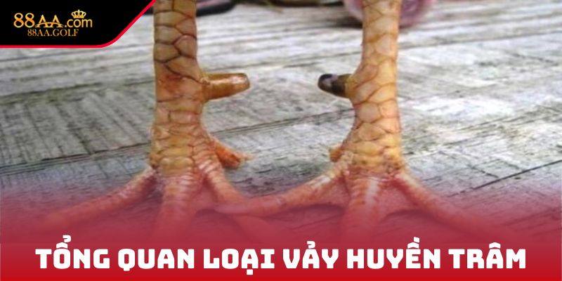 Tổng quan loại vảy Huyền Trâm